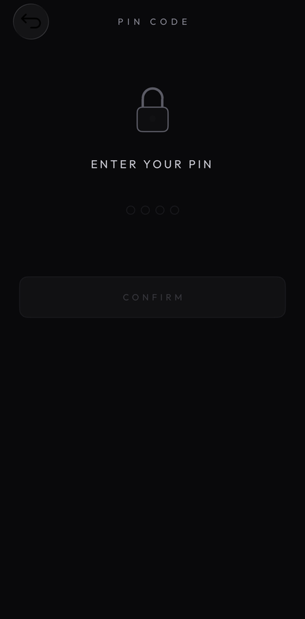 HushChip app PIN entry screen